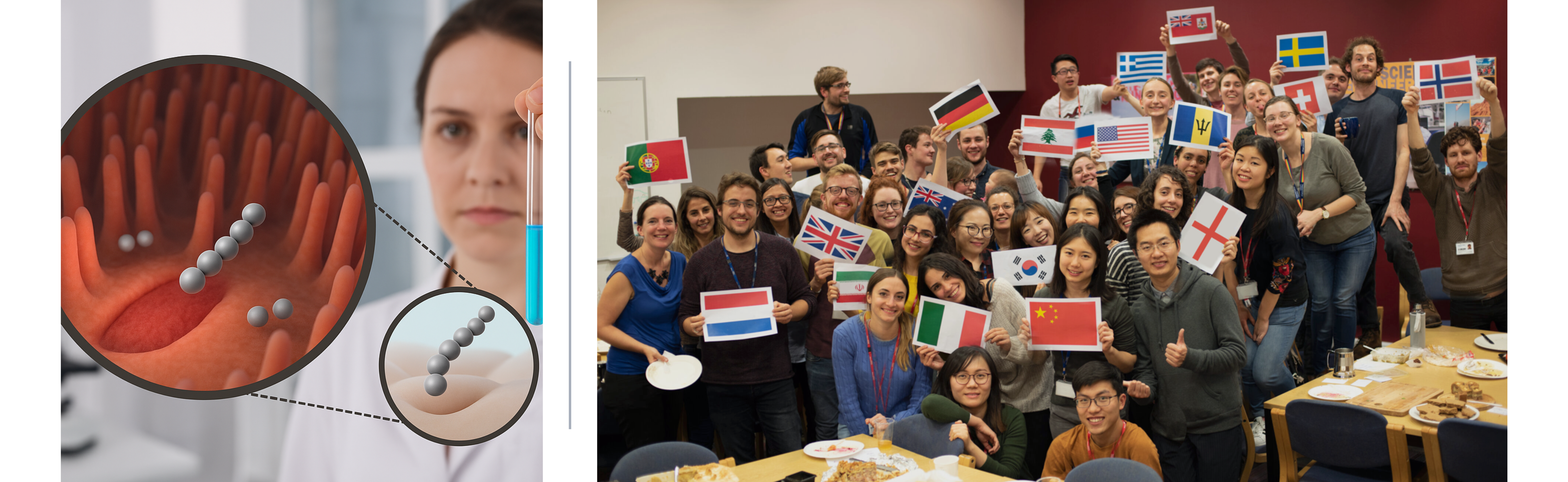 A collage featuring a female scientist holding a test tube on the left, and a photo of the Stevens Group on the right, with flags highlighting the group’s diversity.