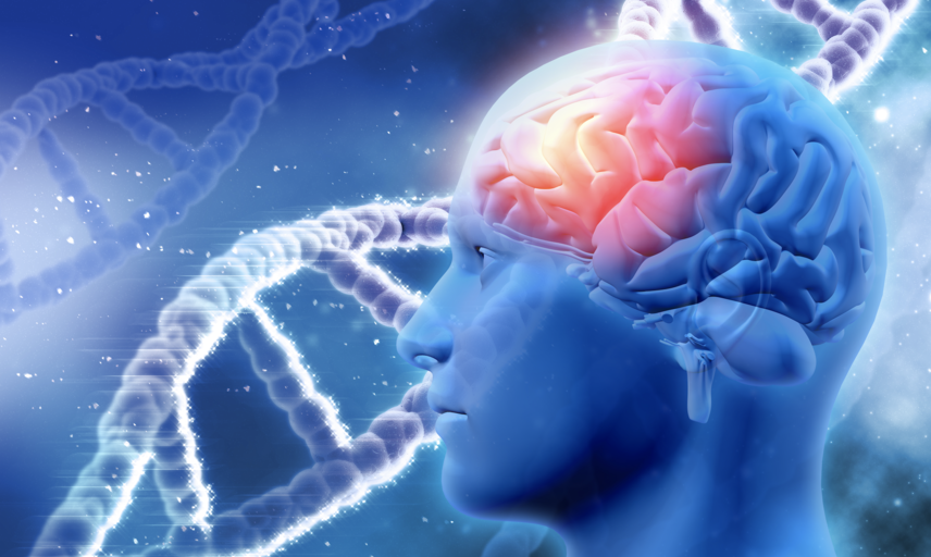 an illustration of the human brain with a DNA molecule in the background. 
