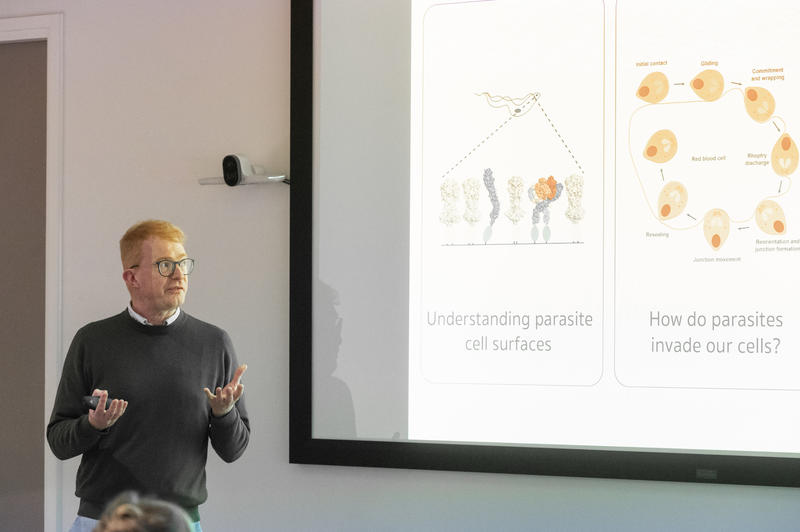 Professor Matt Higgins