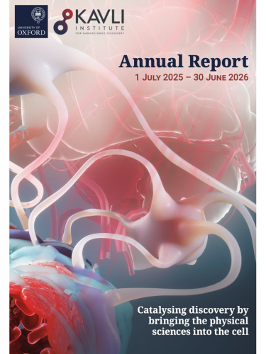 Cover of the University of Oxford’s Kavli Institute for Nanoscience Discovery Annual Report for 1 July 2025–30 June 2026, featuring an abstract illustration of interconnected cells and neural structures in pink, red and blue.