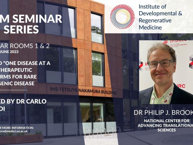 idrm seminar series poster