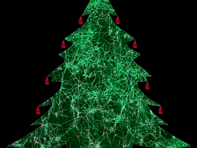 nick gatford oh christmas tree
