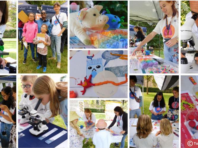 A photo collage from the event