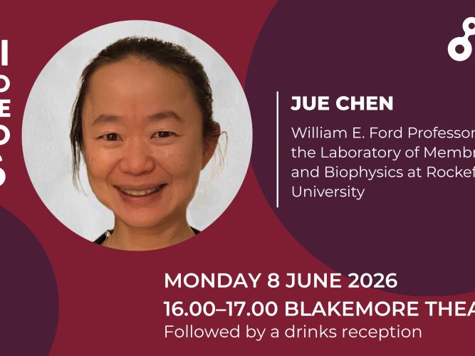 updated jue chen kavli lecture award
