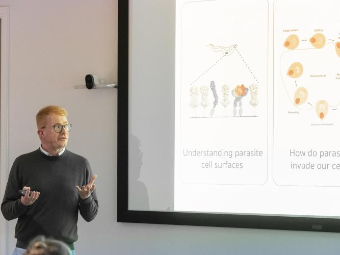 Professor Matt Higgins