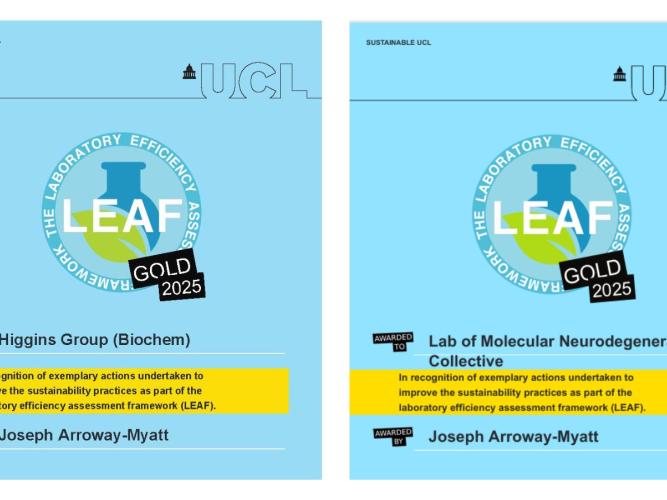 LEAF certificates of Higgins and Wade-Martins Groups