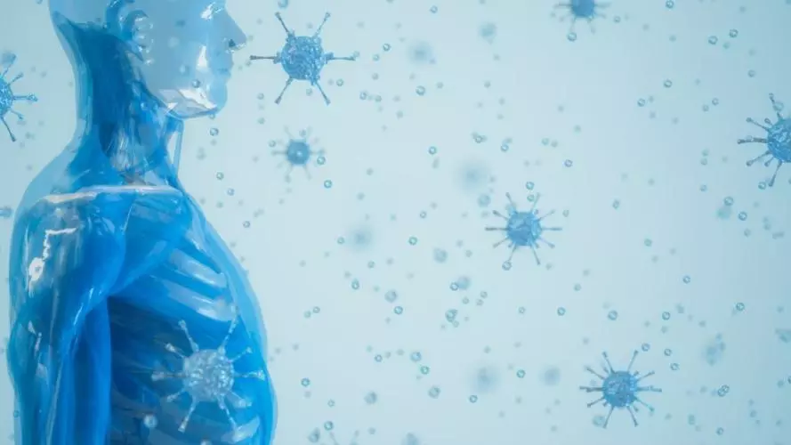 human immune system 
