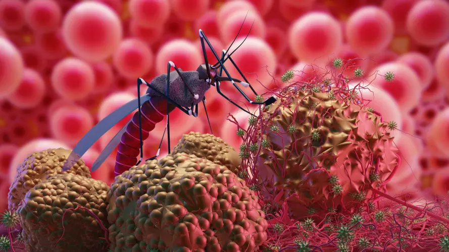 an image of a mosquito standing on blood molecules.