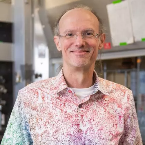 Prof Mark Grinstaff