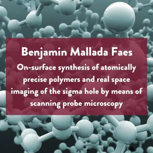 Main Seminar Image for Benjamin Mallada Faes