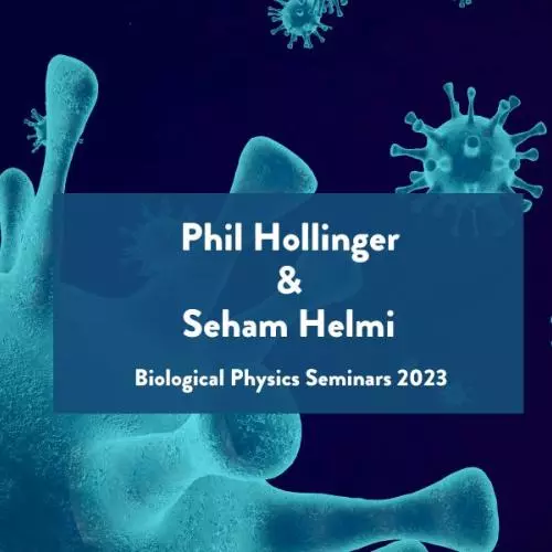 main banner for Biological Physics Seminars