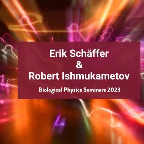 main banner for Biological Physics Seminars