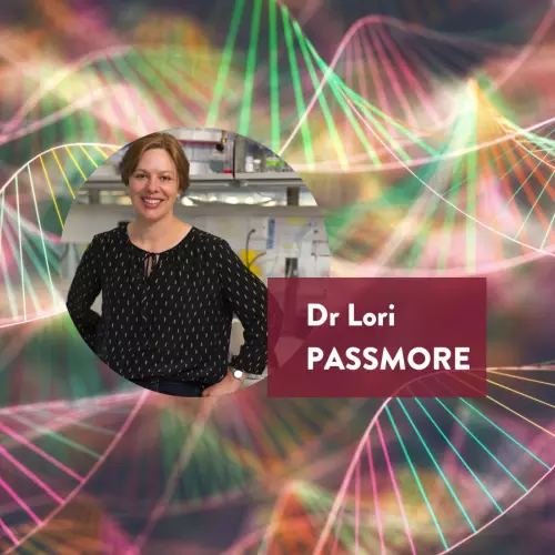 Dr Lori Passmore main image