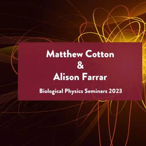 main banner for Biological Physics Seminars