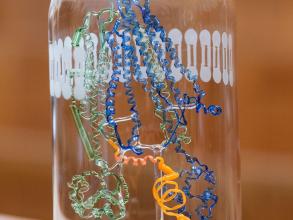 A side-on photo of a colourful glass-blown sculpture depicting an ABC transporter and interacting peptide. 