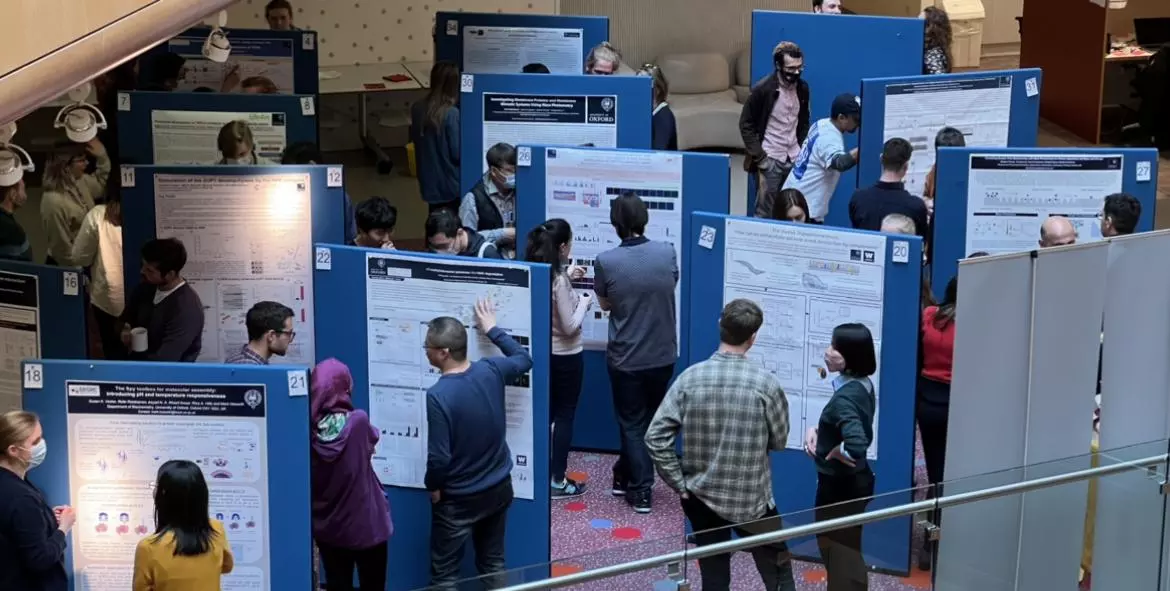 A wide angle image showing all post doc researchers attending the Poster Session.